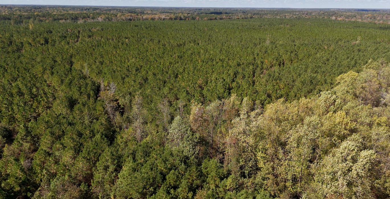 291 AFM Bladen 339 Photo 2