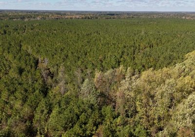 291 AFM Bladen 339 Photo 2