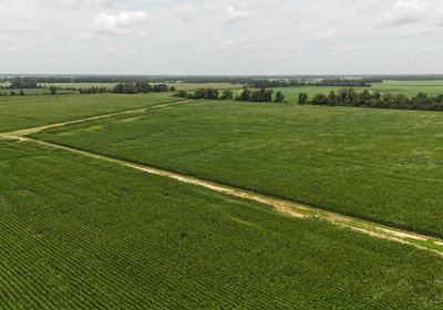 292 DJI 20250618131927 0106 D