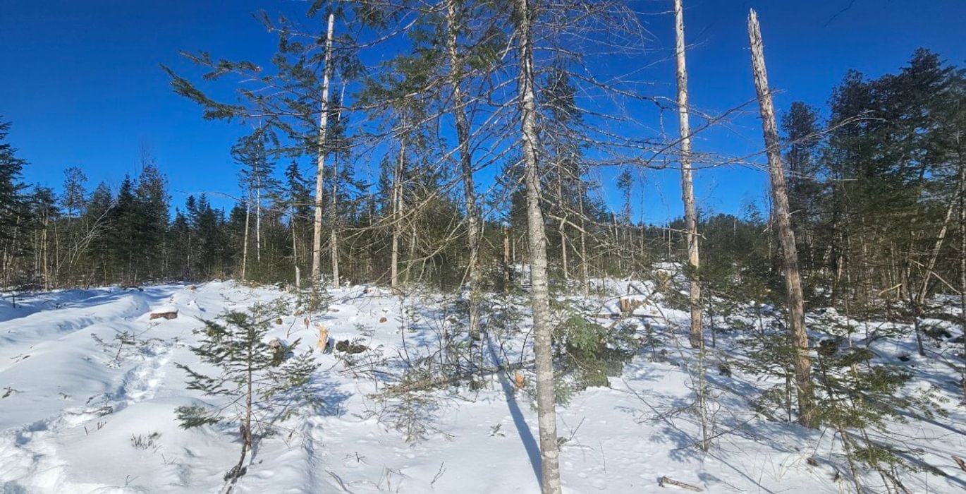 293 3 North lot
