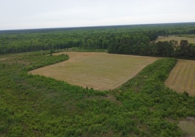 293 DJI 0252