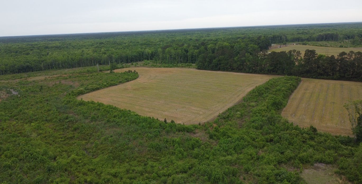 293 DJI 0252