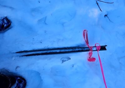 294 14 Northeast corner assumed along Woods rd