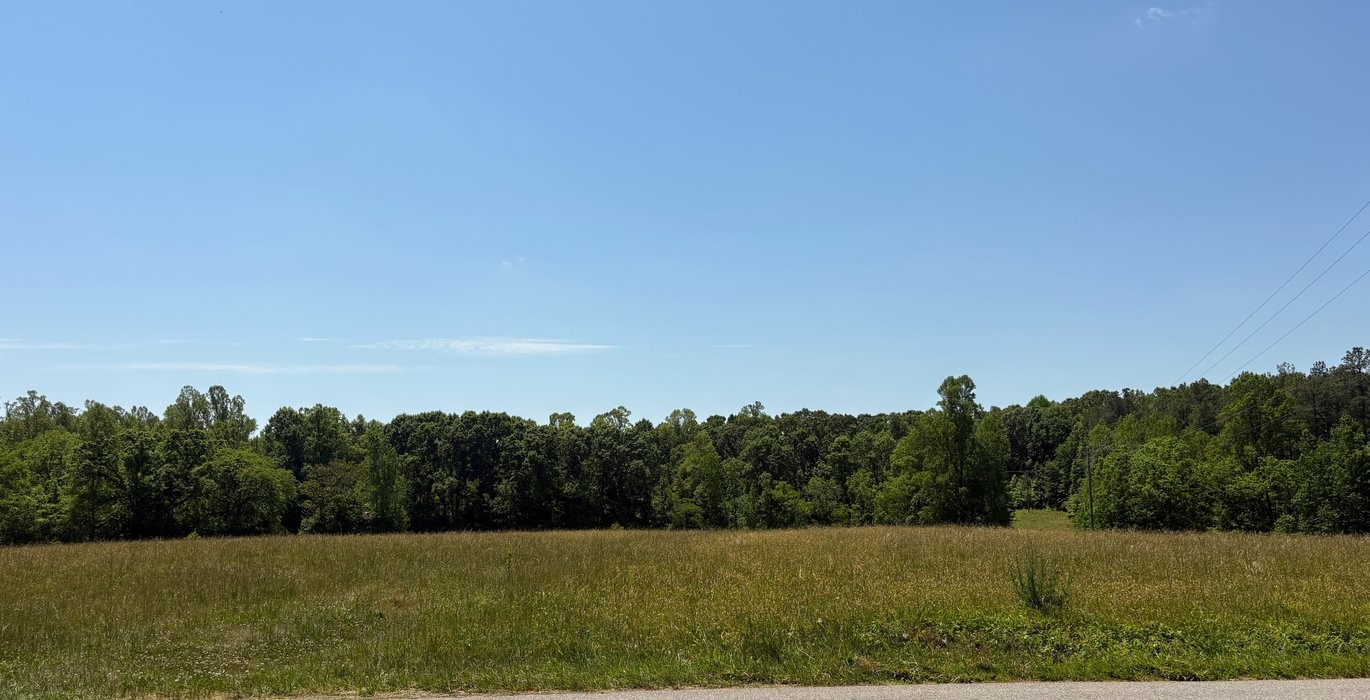295 IMG 5408