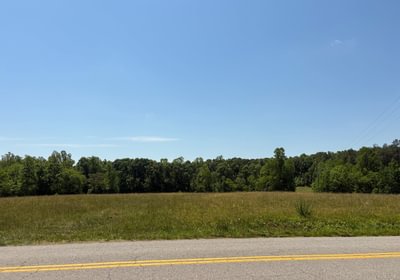 295 IMG 5408