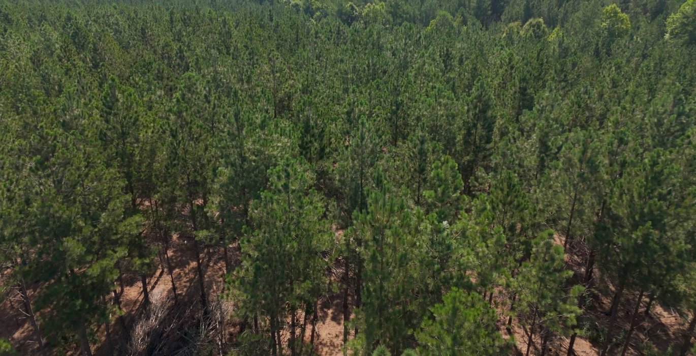 296 Cabin Creek Photo 25