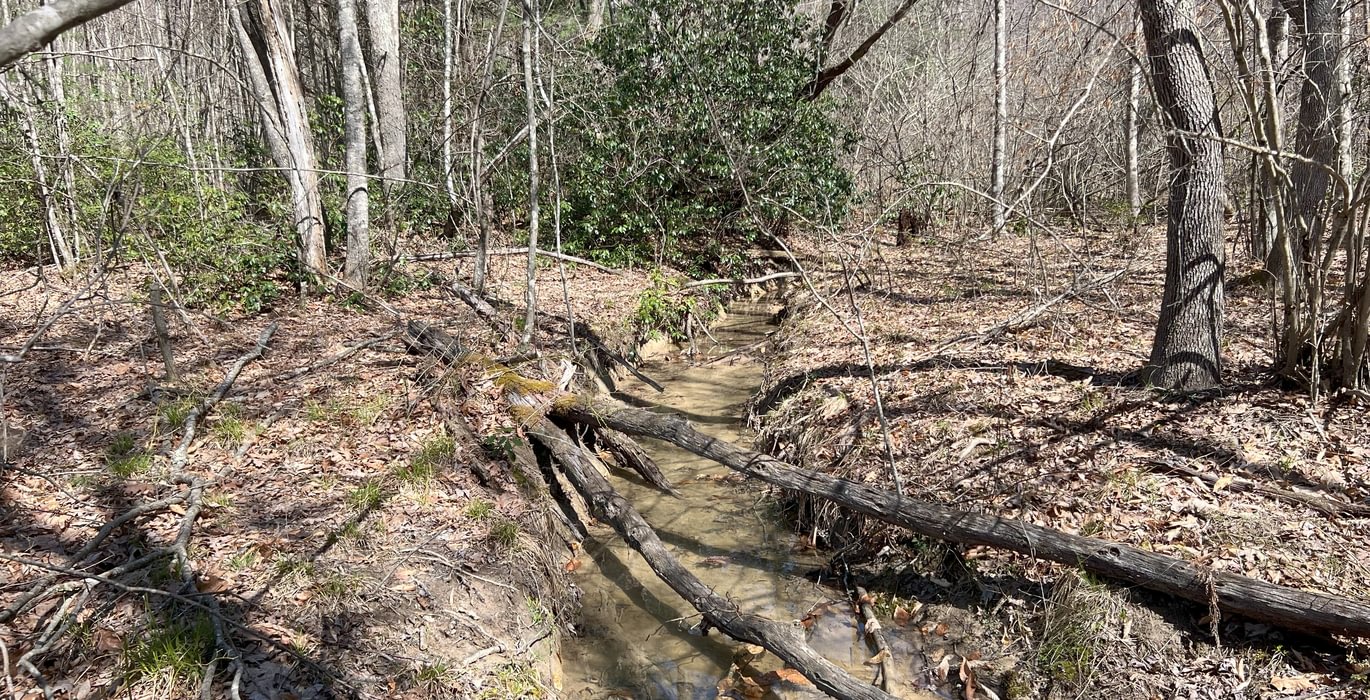 296 Creek