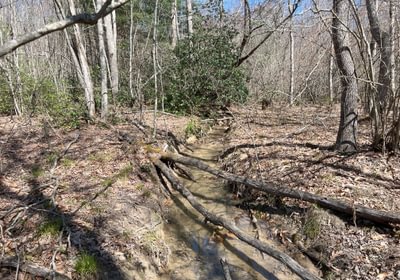 296 Creek
