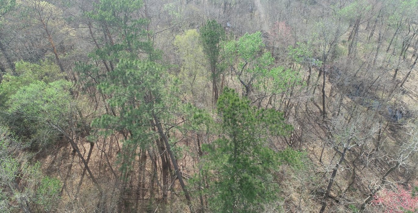 296 DJI 0030