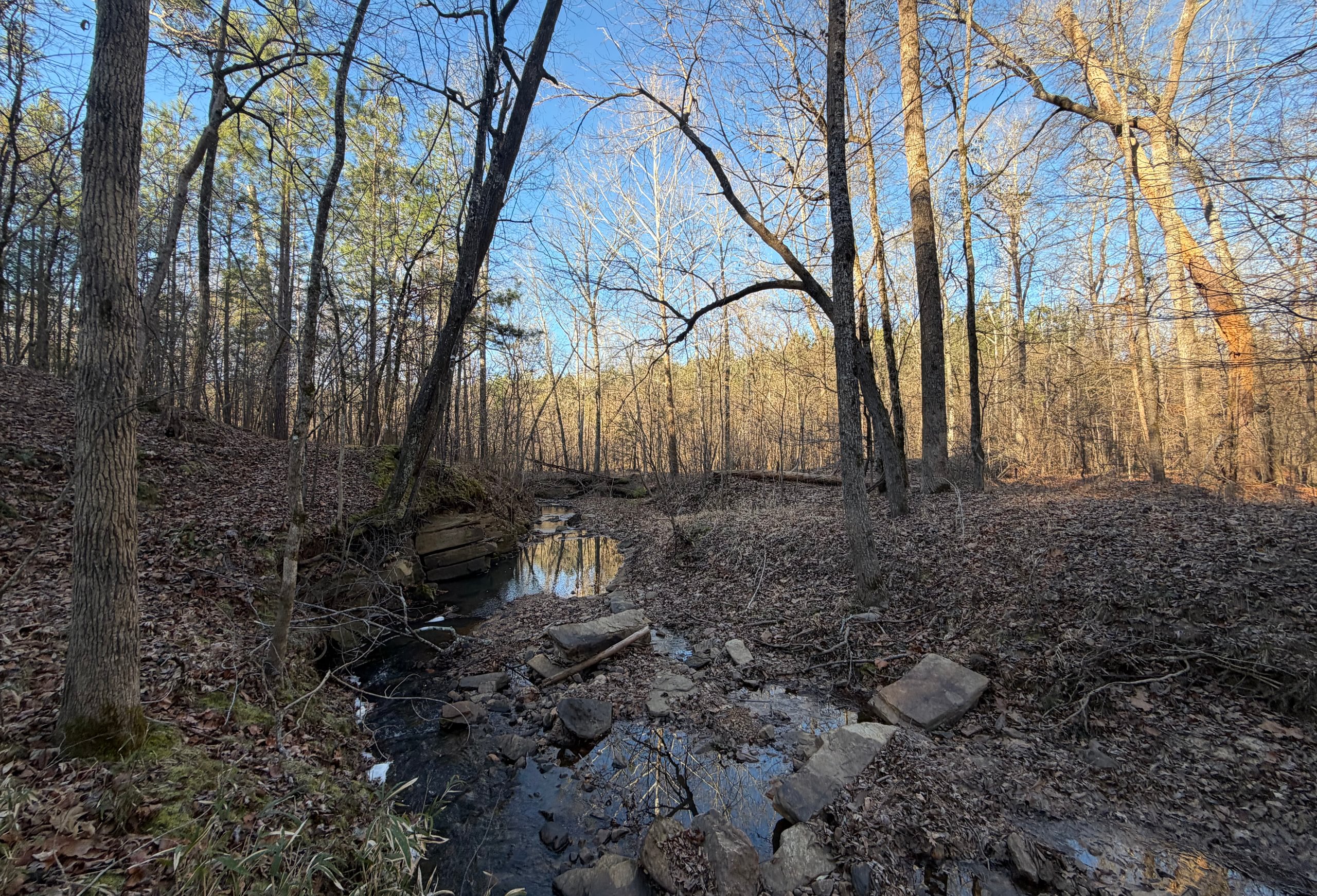 Photo 8 of Rush Creek Farms, 100.6 acres, Putnam County, Georgia