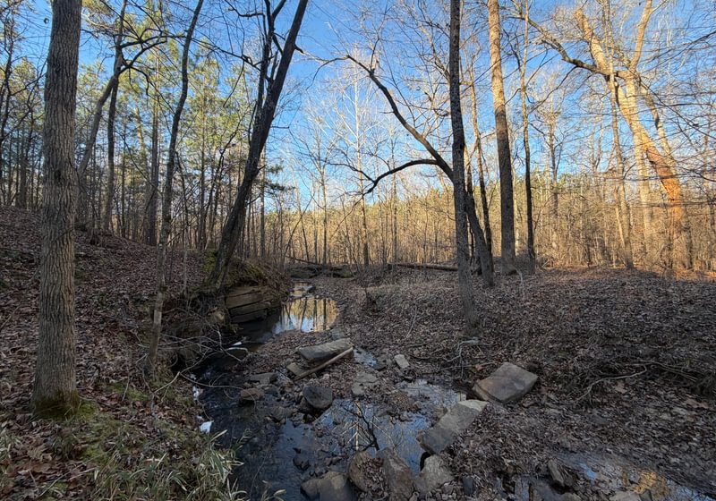 Photo 8 of Rush Creek Farms, 100.6 acres, Putnam County, Georgia