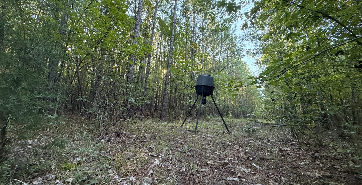 296 IMG 0373