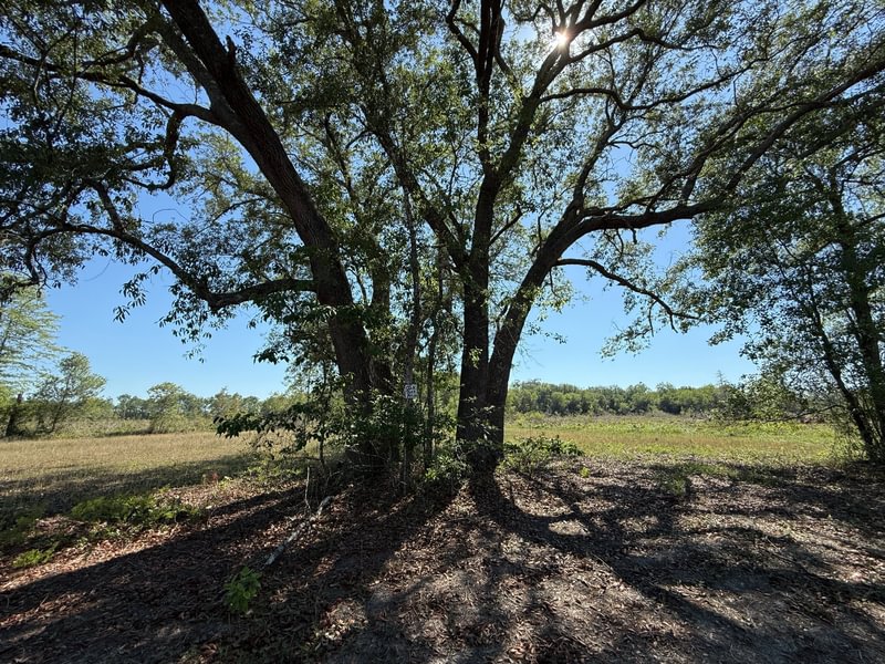 Photo 1 of Bradwell, 642.83 acres, Liberty County, Florida