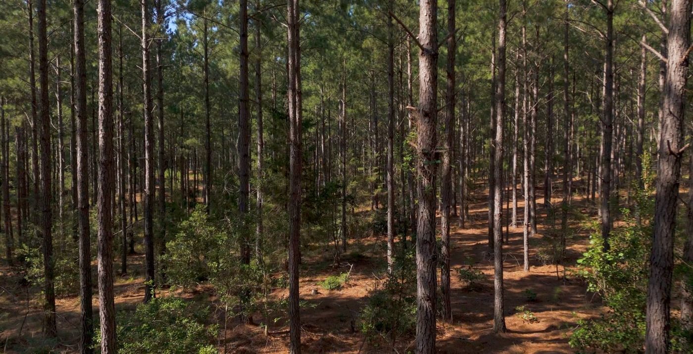 297 Cabin Creek Photo 5