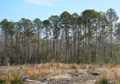 299 Church Hill pic16