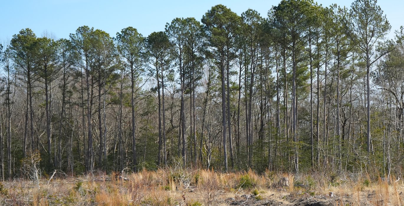 299 Church Hill pic16