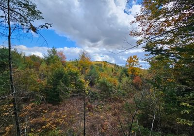 29 3 Lot with view looking west 2