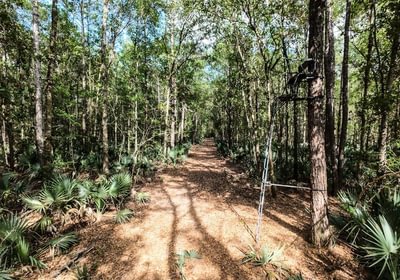 2 DJI 20250516231034 0065 D