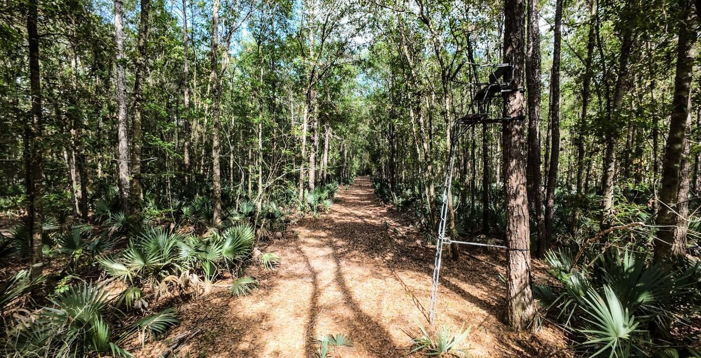 2 DJI 20250516231034 0065 D