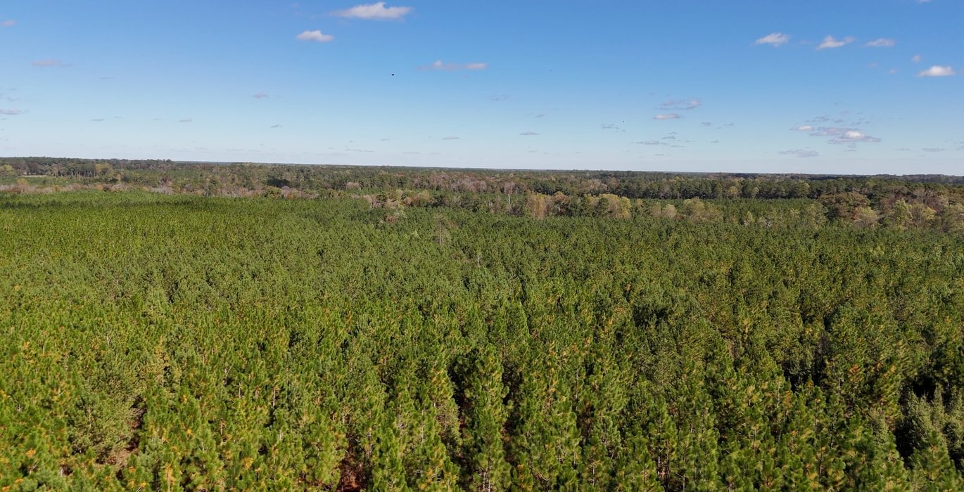 33 AFM Bladen 339 Photo 7