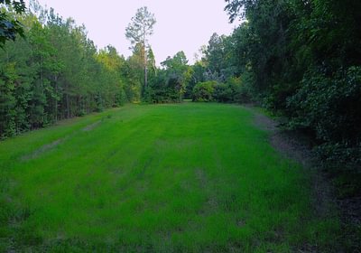 33 DJI 0373