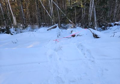 302 13 Northeast corner assumed along Woods rd looking at lot