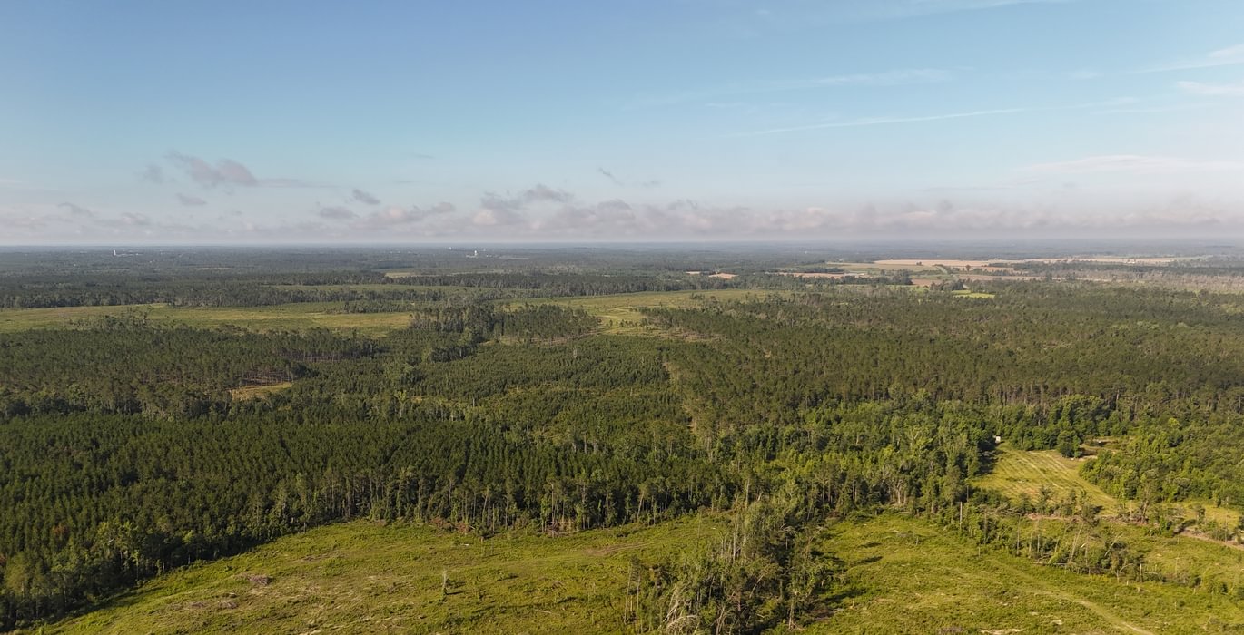 302 DJI 20250613085832 0075 D