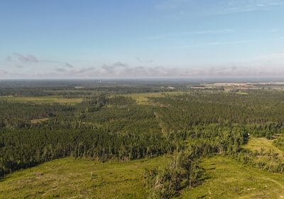 302 DJI 20250613085832 0075 D
