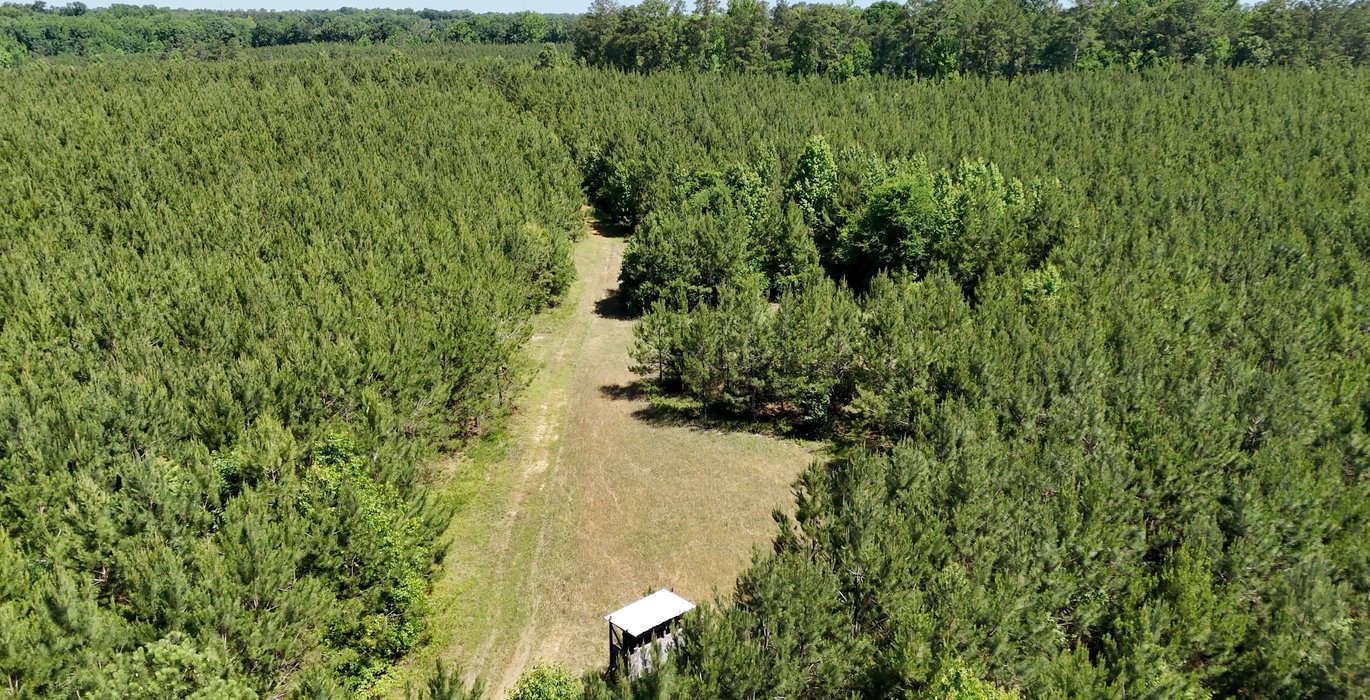 303 Horton Tract Photo 27