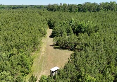 303 Horton Tract Photo 27