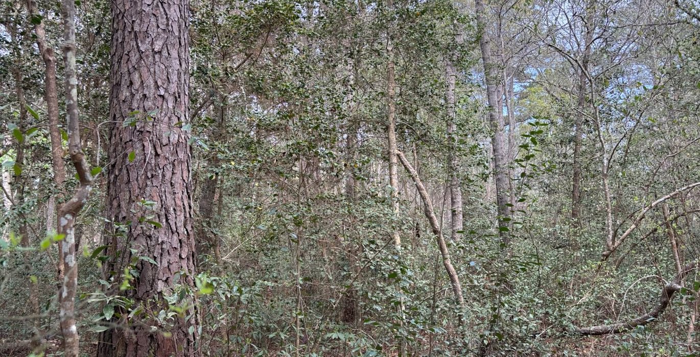 303 IMG 6424