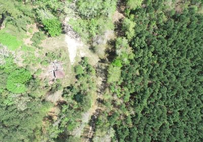 304 DJI 0429