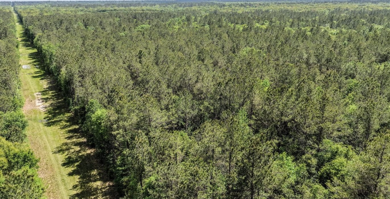 304 DJI 20260415144411 0151 D