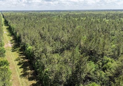 304 DJI 20260415144411 0151 D