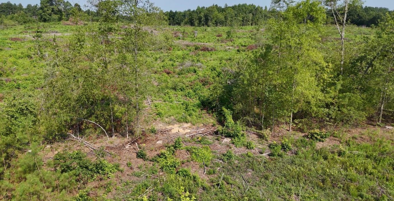305 AFM Glenmore Road Photo 21