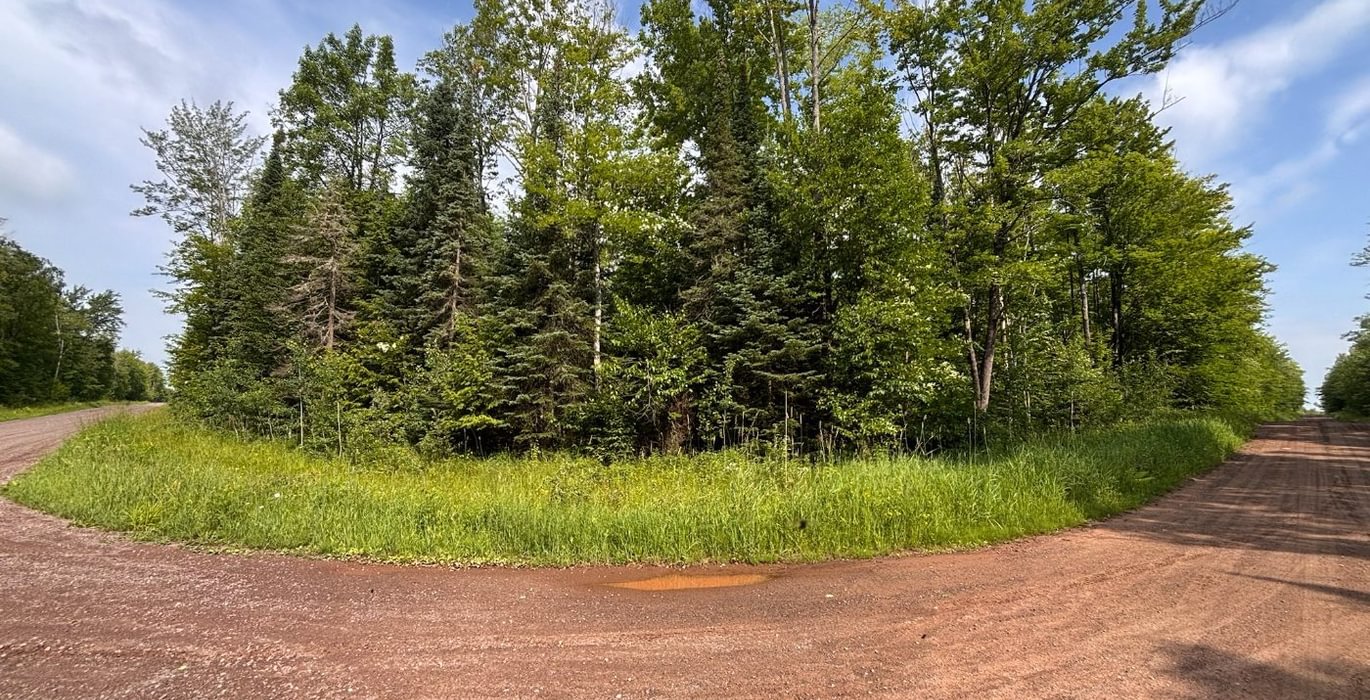 305 beartown 25