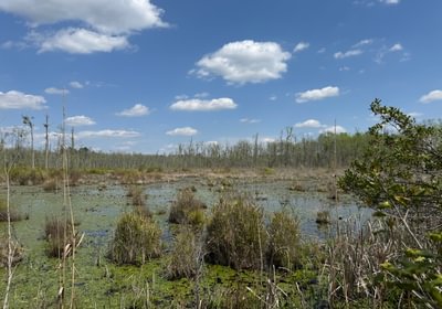 306 IMG 7194