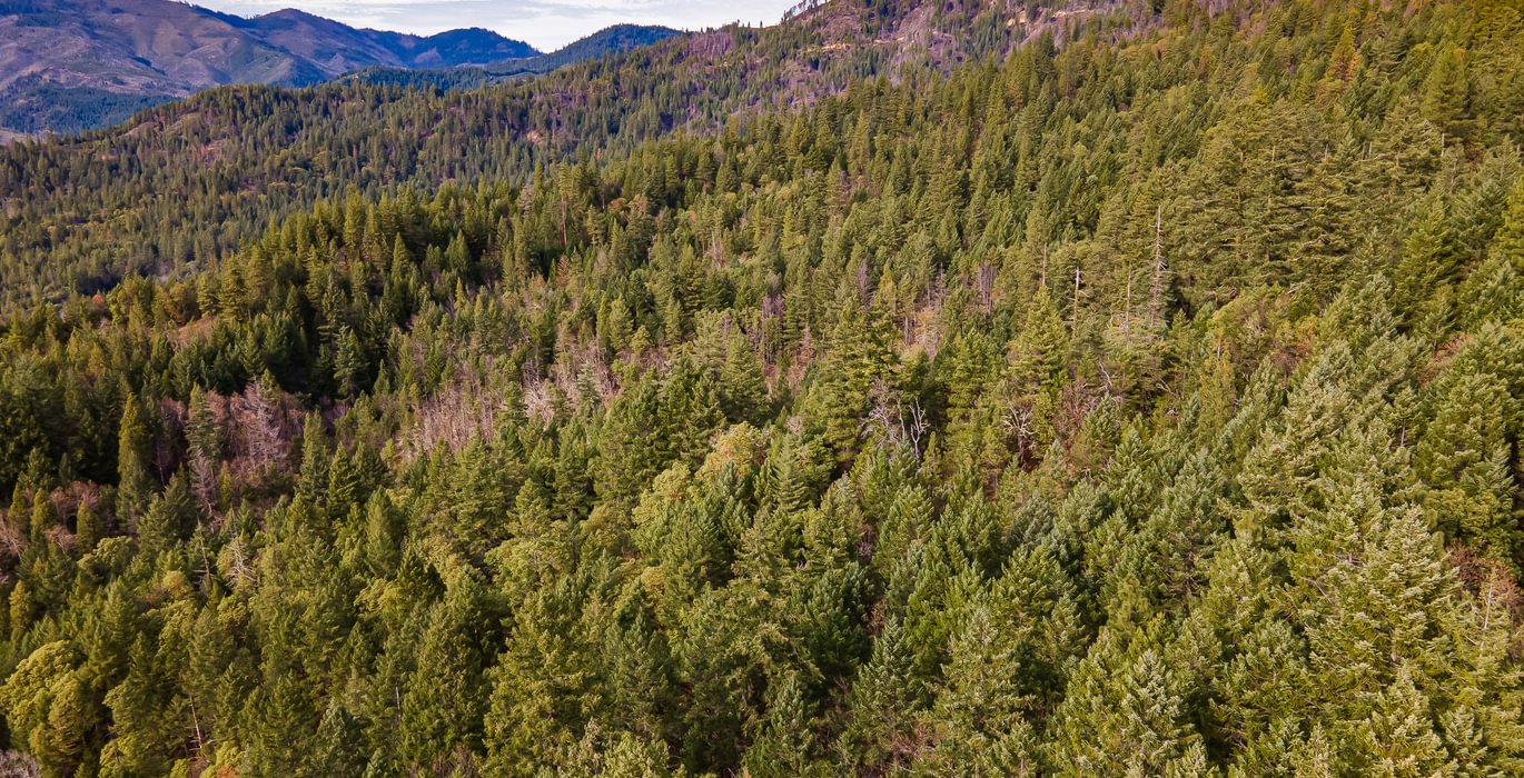 307 DJI 0813 HDR Image Merge