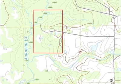 307 gum springs topo