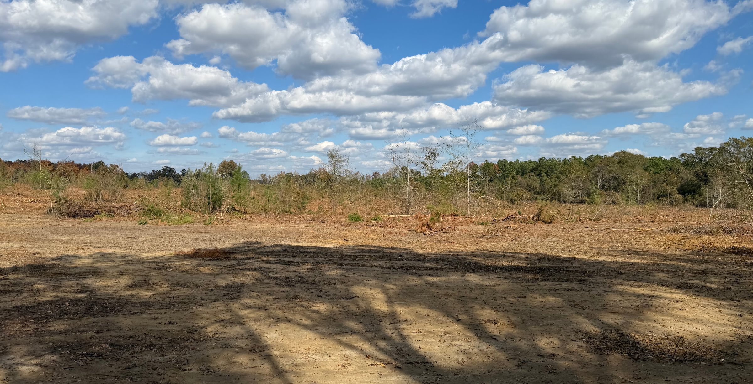 Photo 8 of Dooly County - Edwards Rd Farms, 101 acres, Dooly County, Georgia