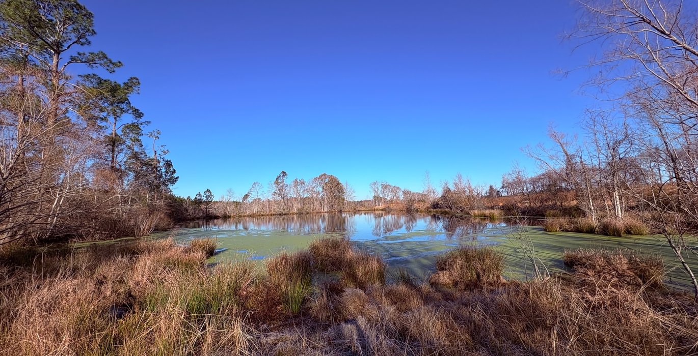 309 pond