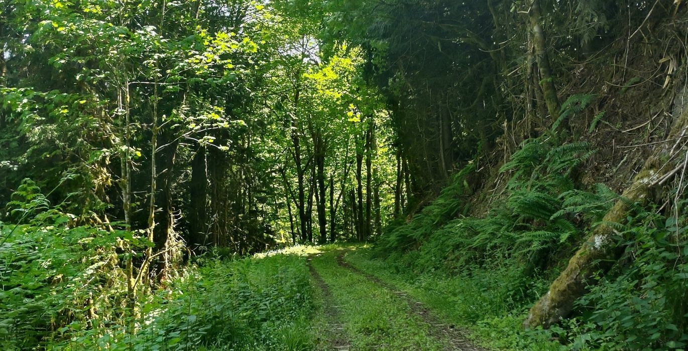 30 IMG 20250604 133809367 HDR