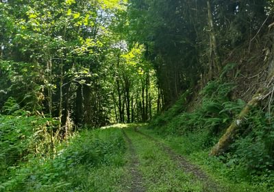 30 IMG 20250604 133809367 HDR