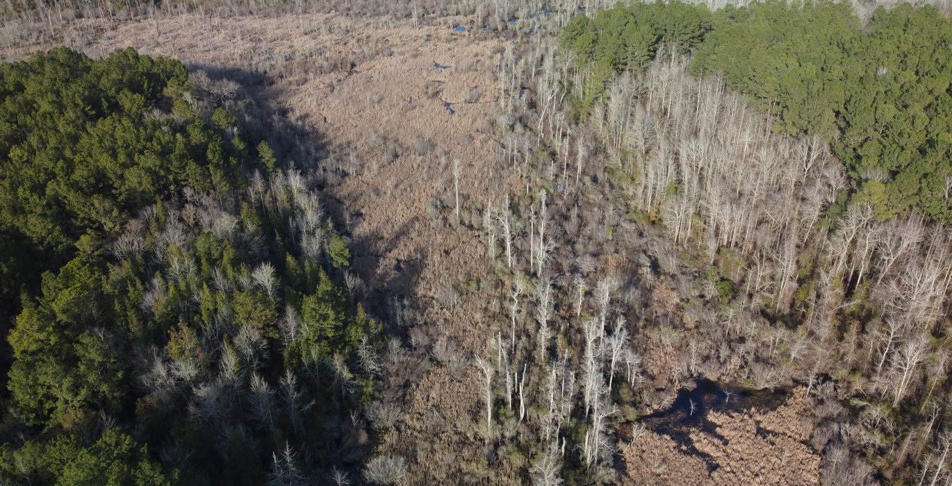 310 DJI 0956