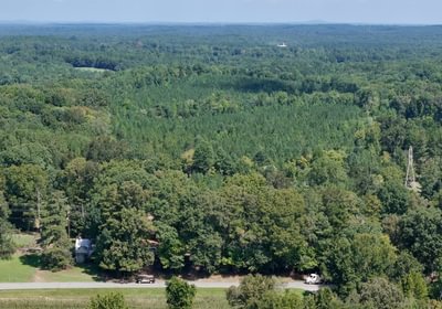 310 Simlin Creek Photo 21