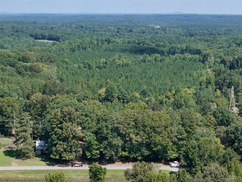 310 Simlin Creek Photo 21
