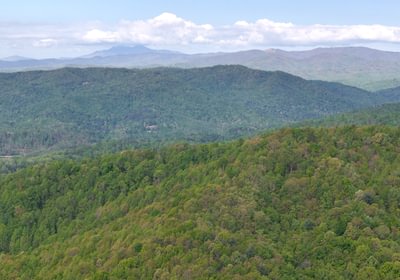 311 AFM Johnson Mountain Photo 11