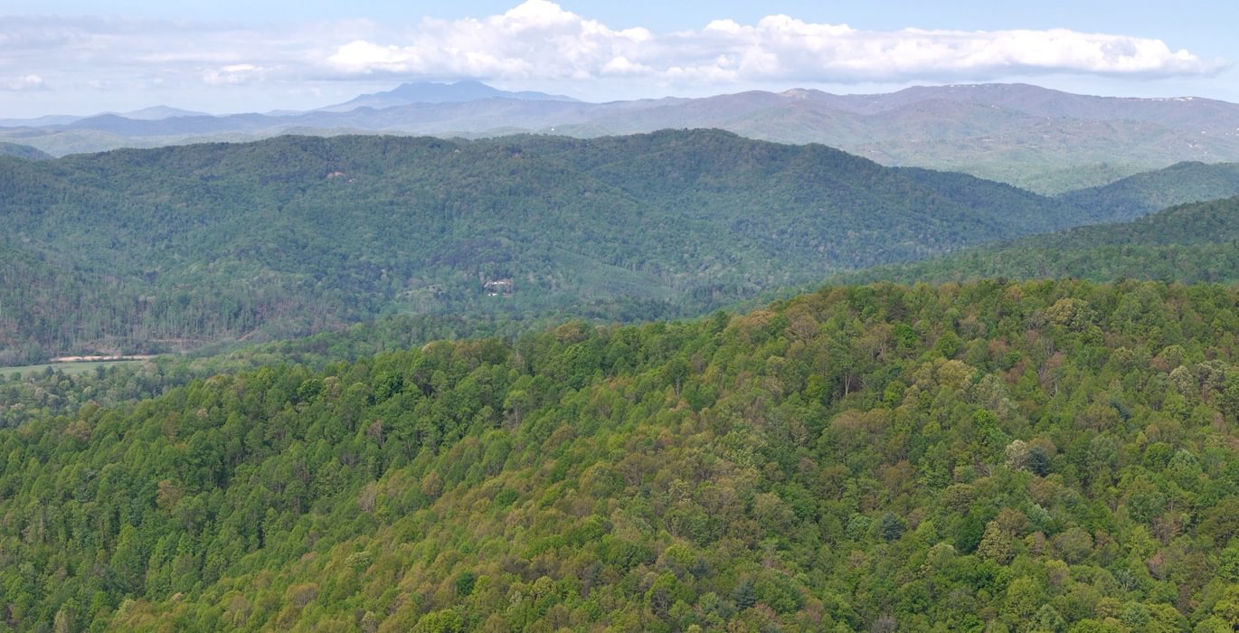 311 AFM Johnson Mountain Photo 11
