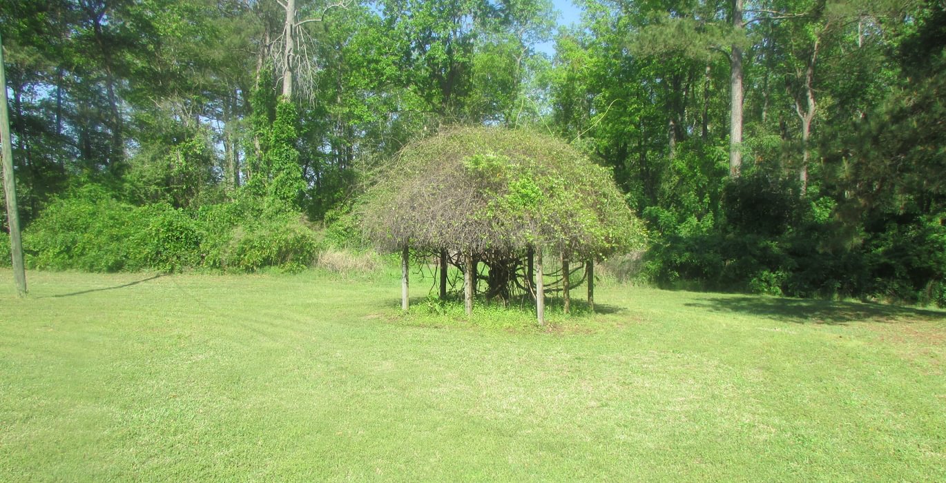 311 IMG 0618