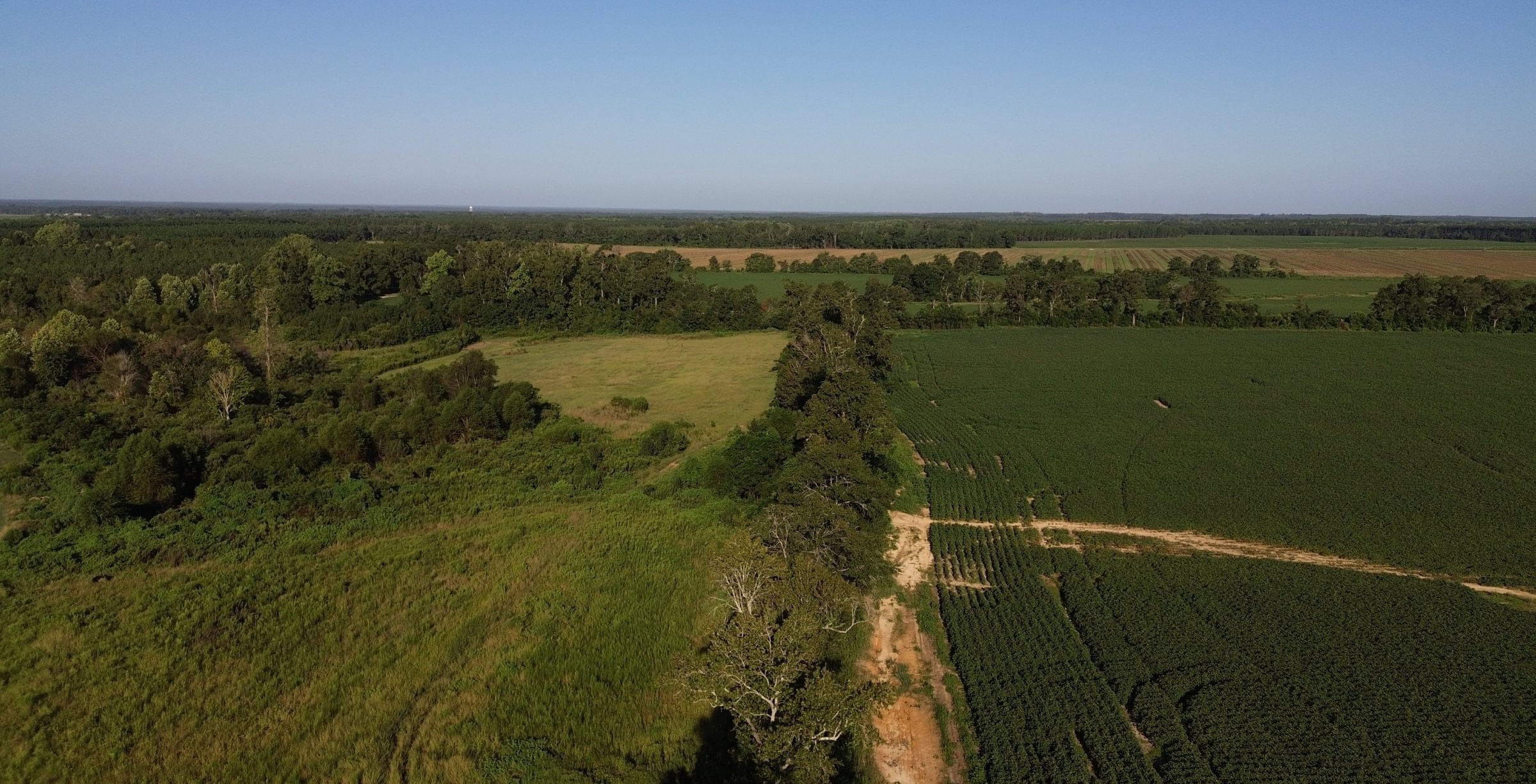 Photo 4 of Cooperville Farmstead, 24.46 acres, Screven County, Georgia